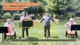 Kodachrome Paul Simon Cover [upl. by Kcirej]