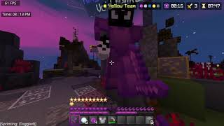 Hive Skywars ASMR [upl. by Noyes943]