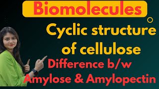 Cyclic Structure Of Cellulose  Difference Between Amylose And Amylopectin 😱😱🔥🔥 [upl. by Rasmussen]