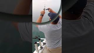 lakeontario king salmon setup smash on the rigger loc derby [upl. by Ateikan]