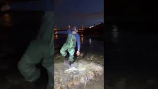 A lot of small fishes net fishing in river net fishing video net fishing in the sea [upl. by Ellehcsar279]