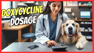 🐶 DOXYCYCLINE FOR DOGS DOSAGE 🐶 [upl. by King]