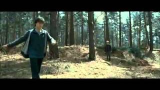 DELETED SCENE of Harry Potter 7 part 1  Ron and Harry chasing a rabbit in the forest [upl. by Aix]