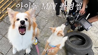 브랜디 에이티즈 미친폼 뮤직비디오 데뷔하고 오다 [upl. by Natsuj]