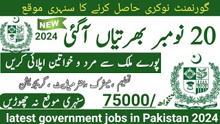 Latest government November jobs 2024 ۔ New jobs 2024 in pakistan۔Latest jobs in Pakistan 2024 today [upl. by Allsun]