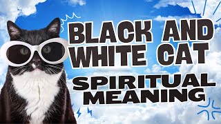 Black And White Cat Spiritual Meaning  The Spiritual Parrot [upl. by Hudgens]