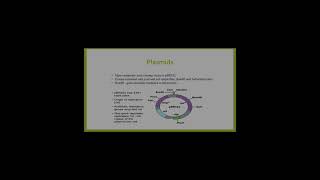 information about plasmid vector biotechnology [upl. by Nosremaj]