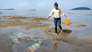 Catch And Cook Sea Crab At the Beach  Crab Cooking on Sand [upl. by Ehrman549]