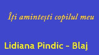 Lidiana PindicBlaj  Îți amintești copilul meu [upl. by Dhaf]