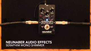 Neunaber Seraphim Mono Shimmer Reverb Demo [upl. by Alhan]