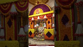 Divine Moments at Hanuman Mandir shorts temple spiritual viralvideo shortsfeed [upl. by Neehcas]