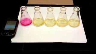 Hydrolysis of tButylChloride Kinetics Experiment 5 SN1 Reaction [upl. by Celisse]