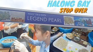 HALONG BAY TRAVEL OYSTERS PEARLS travel halongbay oysterspearls vietnam [upl. by Brandi403]