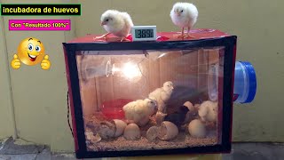 Como Hacer una Incubadora Casera Para Huevos de Gallina  Incubadora de pollos [upl. by Arne903]