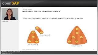 Column Search  W2U1  A First Step Towards SAP HANA Query Optimization [upl. by Yetnruoc]