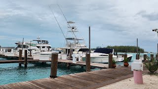 Desde Bimini Bahamas en vivo [upl. by Wurtz908]