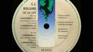 CJ Bolland  Camargue 1992 [upl. by Sigvard]