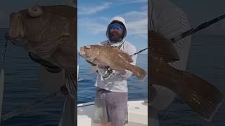 Snowy Grouper 800 feet Slow Jigging Silk Ocean PE 25 [upl. by Amrita]