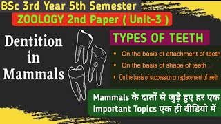 BSc 3rd Year 5th Semester Zoology 2nd PaperDentition in Mammals in HindiDentition in mammals [upl. by Eiramassenav]