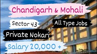 Chandigarh January jobs  Chandigarh private nokari Chandigarh private jobs 2024  Private Job 2024 [upl. by Lindy]