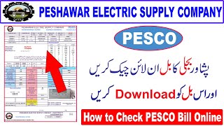 PESCO Online Bill  Electricity Bill Online Check Pesco  PESCO Duplicate Bill [upl. by Frost802]