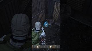 Disappearing Stashes in sheds on Sakhal 🤣 dayz dayzshorts dayzcommunity [upl. by Hewe]