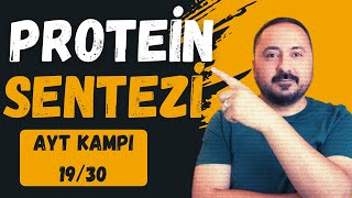 Genetik ŞifreProtein Sentezi  30 Derste AYT Biyoloji Kampı 19Ders  2025  Cici Biyoloji [upl. by Conney908]