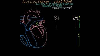 Auscultation cardiaque Souffles cardiaques bruits Partie 2 [upl. by Sternick]