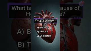 Anatomy Quiz shortsfeed ytshorts quiztime youtubeshorts anatomyquiz youtubesearch shortsbeta [upl. by Fabio]