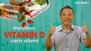 Dapatkan VITAMIN D Cara Alami [upl. by Kcirrek]