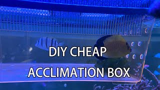 20230417 DIY Acclimation Box 4K [upl. by Lukey]