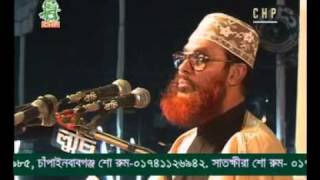 Delwar Hossain Sayeedi Allah Siristir Bishalota [upl. by Nadab217]