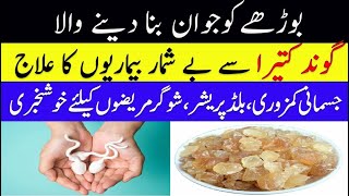 Gond Katira Khane ka Tarika  Gond Katira Benefits  گوند کتیرا مردانہ کمزوری کا علاج [upl. by Eillit]