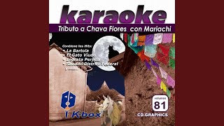 Las Bodas de Vecindad Karaoke Version [upl. by Celle]