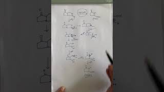 Organic Reaction  Acid Catalyzed Hydrolysis of Lactone  Cyclic Ester  BSc  JEE  MSc [upl. by Arorua928]