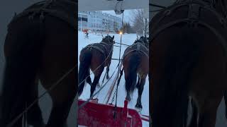 Winter Storm On Mackinac Island  Michigan Blizzard 2024 mackinacisland puremichigan snowstorm [upl. by Giah]