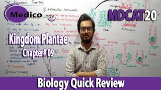 Kingdom plantae Part 1  Biology Quick review MDCAT [upl. by Trinee]