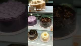 Caramia cakesSMcakesweet foodyummymukbangeatingsatisfyingshortsvideo [upl. by Htebazle]