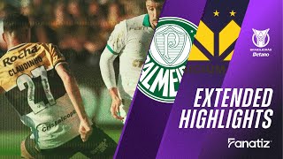 Criciúma vs Palmeiras 12  Game Highlights  Brasileirão 2024 [upl. by Marcoux855]