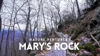 I Survived Marys Rock Trail While Hiking on Ice  Shenandoah National Park VA [upl. by Lleuqram707]