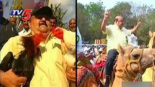 Eluru MP Maganti Venkateswara Rao Starts Rooster Fights  Sankranti Celebrations  TV5 News [upl. by Kelula]