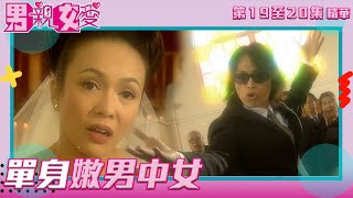 男親女愛 ｜第19至20集劇集精華｜單身嫩男中女｜黃子華｜鄭裕玲｜TVB港劇精華 [upl. by Wahkuna753]