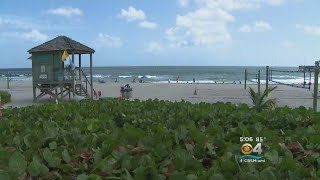 Red Tide Testing Underway At MiamiDade Broward Beaches [upl. by Cloris774]