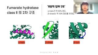 31 20202149 조순빈 Fumarate Hydratase Class II 단백질의 구조와 기능 [upl. by Ettelrac126]