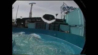 pov water flume astroland coney island brooklyn ny [upl. by Durrej]