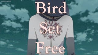 Sumire Kakei 「ＡＭＶ」 Bird Set Free [upl. by Nazler]