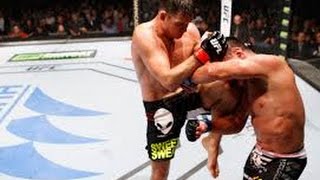 UFC Fight Night 48 Michael Bisping vs Cung Le Full fight review shot by shot photo by photo [upl. by Isahella383]