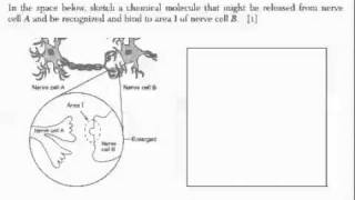 LE REGENTS REVIEW Homeostasis 2011 [upl. by Airla]