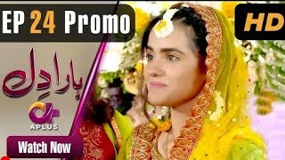 haara dil episode 24 promo [upl. by Ragnar]