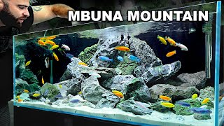 Mbuna Mountain EPIC Cichlid 4ft Aquascape Tutorial [upl. by Phelgen]